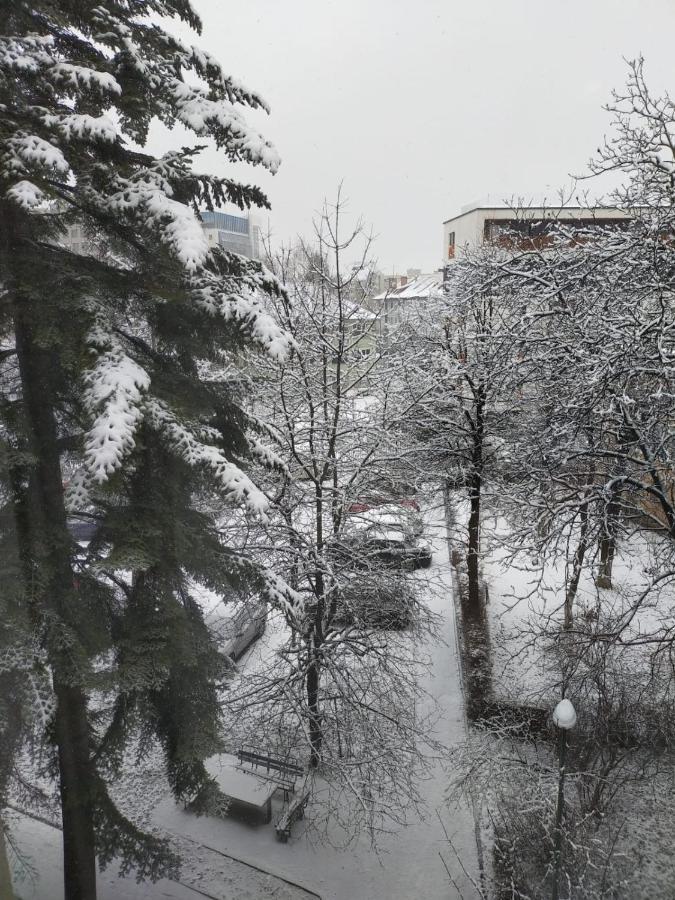 Cozy Family Apartments Brasov Luaran gambar